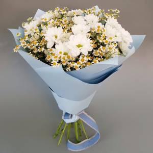 Сборный букет хризантемы и ромашки R1784
